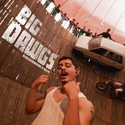 Big Dawgs Chords by Hanumankind