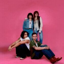 Do You See Me Chords by The Happy Fits