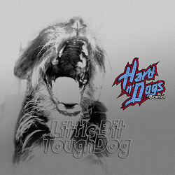 Nowhere To Go Chords by Hard N'dogs