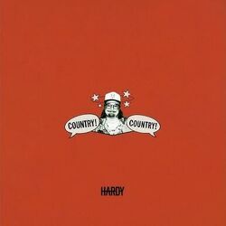 Goodbye Chords by HARDY