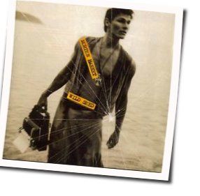 Wild Seed Chords by Morten Harket