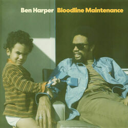 Need To Know Basis by Ben Harper