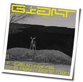 Giant Chords by Calvin Harris