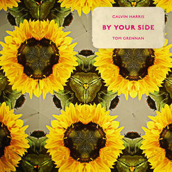 By Your Side Chords by Calvin Harris