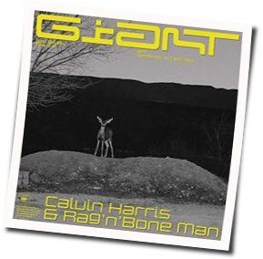 Giant Chords by Calvin Harris