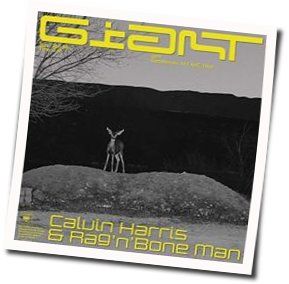 Giant by Calvin Harris