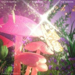Over Now Chords by Calvin Harris