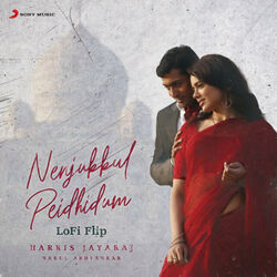 Nenjukkul Peidhidum Intro by Harris Jayaraj
