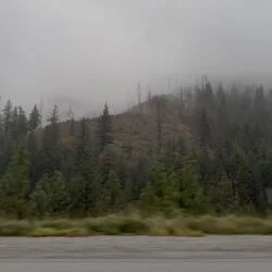 Saltillo Chords by Harrison Boe