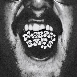 Plastic Smile Chords by Harrison Gordon