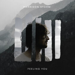 With You Chords by Harrison Storm