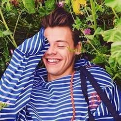Sweet Creature Chords by Harry Styles