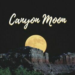 Canyon Moon Bass Tab by Harry Styles