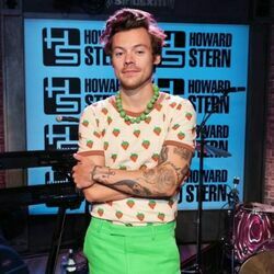 Little Freak Chords by Harry Styles