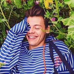 Sweet Creature Chords by Harry Styles