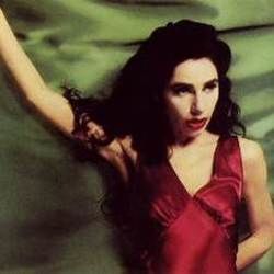 The Last Living Rose Chords by PJ Harvey