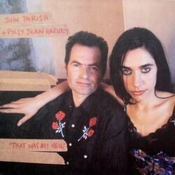 Who Will Love Me Now Chords by PJ Harvey