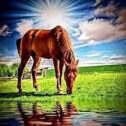 You Are Salt For The Earth O People Chords by Marty Haugen