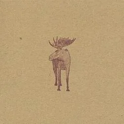 All In One Move Chords by Hayden