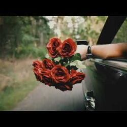 Roses by Hunter Hayes