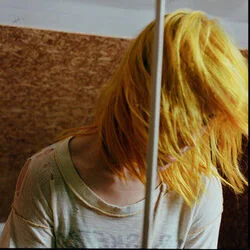 Zissou Intro Tab by Hayley Williams