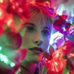 Sugar On The Rim Chords by Hayley Williams