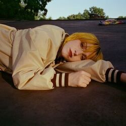 Whim Chords by Hayley Williams