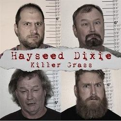 Alien Abduction Probe Chords by Hayseed Dixie