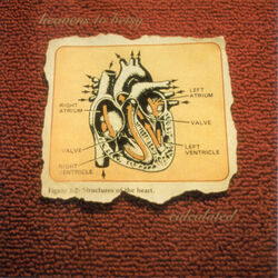 Terrorist Chords by Heavens To Betsy