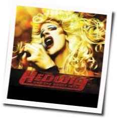 Wig In A Box Chords by Hedwig