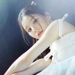Algorithm Chords by Heejin