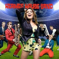 I Will Survive Chords by Hermes House Band
