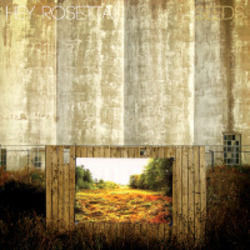 Parson Brown Upirngaangutuq Iqalunni Chords by Hey Rosetta!