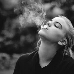 Stay High Chords by Hippie Sabotage