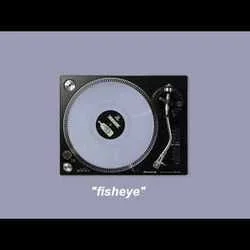 Fisheye Tab by Hippo Campus