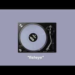 Fisheye Tab by Hippo Campus