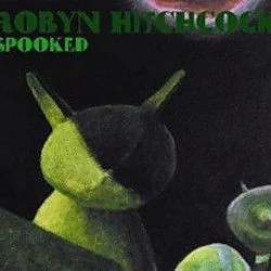 Television Bing Bong Chords by Robyn Hitchcock