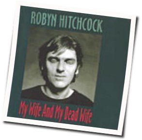 She Doesn't Exist by Robyn Hitchcock