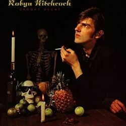 St Petersburg Chords by Robyn Hitchcock