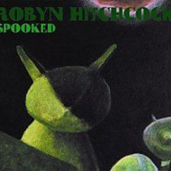 Television Bing Bong Chords by Robyn Hitchcock