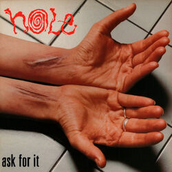 Asking For It  Tabs by Hole