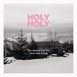 You Cannot Call For Love Like A Dog Bass Tab by Holy Holy