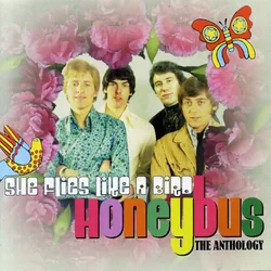 She Sold Blackpool Rock Tab by Honeybus