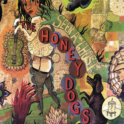I Miss You Chords by The Honeydogs