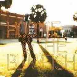 Space Bass tabs by Hootie & The Blowfish