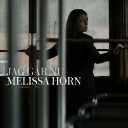 Jag Gör Aldrig Om Det Här Chords by Melissa Horn