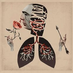 Bury Us All Chords by Hot Water Music