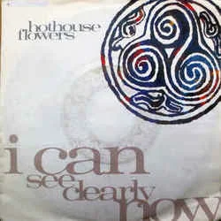 I Can See Clearly Now Chords by Hothouse Flowers