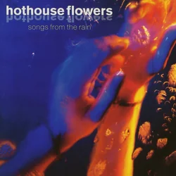 Isn't It Amazing Bass Tab by Hothouse Flowers