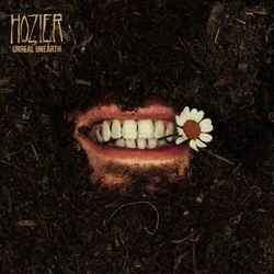 Damage Gets Done Chords by Hozier